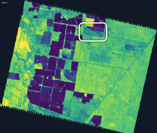 Tanager NDVI of cropland with a boxed parcel